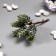 Artificial succulent for creating Florarium "Hall of Color" set 6 pcs 13 cm