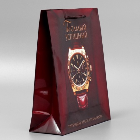 Gift laminated package, packaging, “success”, ml, 25 x 21 x 8 cm-5