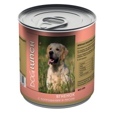 Canned food 