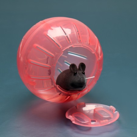 A ball for rodents 10 cm, red-2