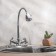 Kitchen mixer "RMS" SL138-279F, flexible spout, two-wound, zinc, chrome
