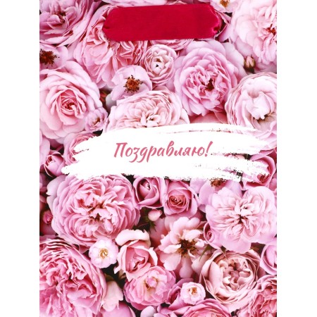Package Gift Vertical "Happy Day", S 12 × 15 × 5.5 cm-2