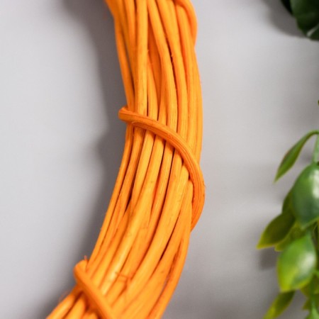 Ring Ring for the manufacture of Dreams Closter "Orange" d = 30 cm-1