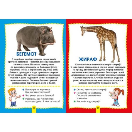 Animals of the world. Photo book for the smallest-2