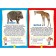 Animals of the world. Photo book for the smallest