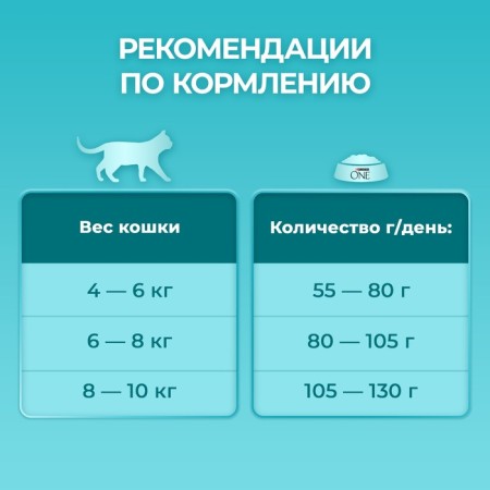 Dry food Purin One for sterilized cats, salmon/wheat, 750 g-6
