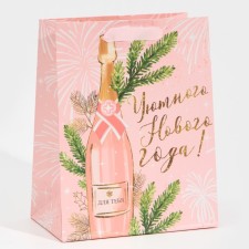 Laminated vertical package “For you”, MS 18 x 23 x 10 cm, New Year