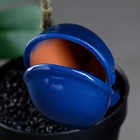 Irrigation for indoor and garden plants "Kit" Kungur ceramics, 0.2 l, 19 cm, blue-9
