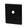Decorative lining on the rod bk Protector/USS BL, black