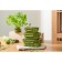 Container for baking, storage and carrying of products in the Smart Solutions cover, green color, 1050 ml