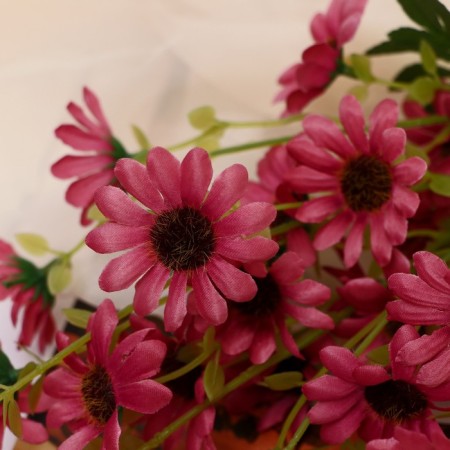 Bouquet "Rudbekia hairy" 40 cm, mix-1
