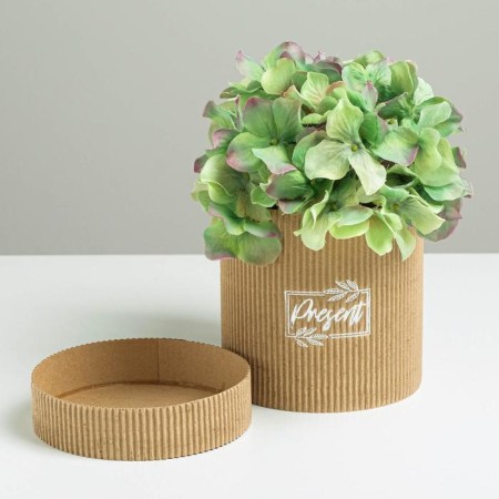 Gift Hat Athletic Microhofra, Packaging, Present, 12 x 12 cm