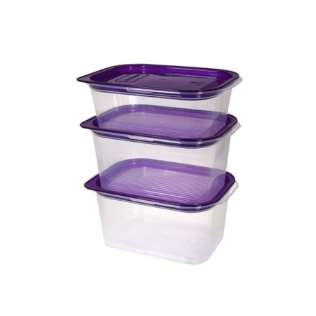 A set of plastic containers with an overwhelm Oursson, sweet plum