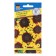 Flower seeds Rudbekia shaggy "solar eclipse", 10 pcs