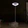 Sensory table lamp 16749/1 LED 2W 6000K USB AKB White 13x11x39 cm Risalux