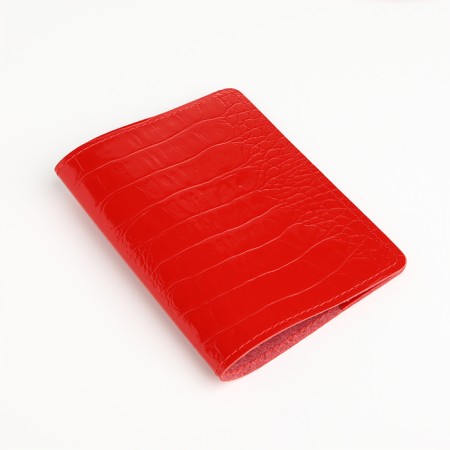 Cover for passport, Textura, red color-2