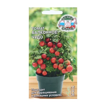 Seed Tomat "Balcony Miracle", Tsv/P, 0.1 g-2