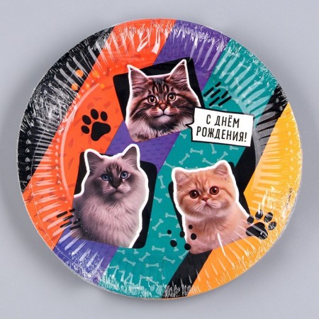 Disposable paper plate "Happy Birthday", cats, 18 cm-4