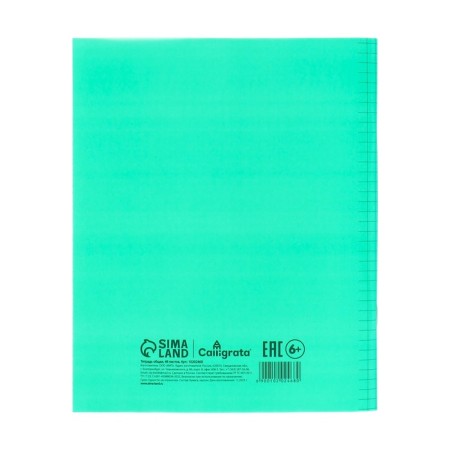 Notebook 48l Green, layer of the region, block offset-6