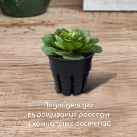 Pot for seedlings, 80 ml, d = 6 cm, h = 5 cm, black, Greengo-2