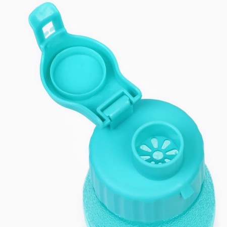 Water bottle, 600 ml, 23 x 6.6 cm, blue-2