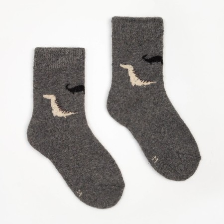 Children's woolen socks "dinosaurs", color mix, size 18-6