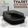 Toilet with transparent sides with a scoop and filter, 50 x 34 x 18 cm, black