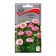 Flowers of Astra Matsumoto pink, 0.1 gr