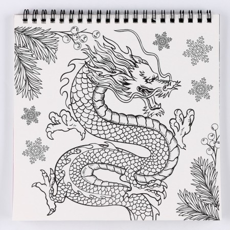 Substanton Gravru-coloring “Dragons in the real world”, 19 x 19 cm-5