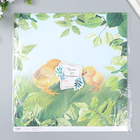 Scrapbooking paper "Chickens on the grass" density 180 g 30.5x32 cm-4
