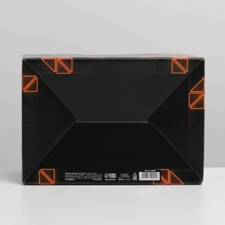 Box Gift team, packaging, "February 23", 22 x 15 x 10 cm-6