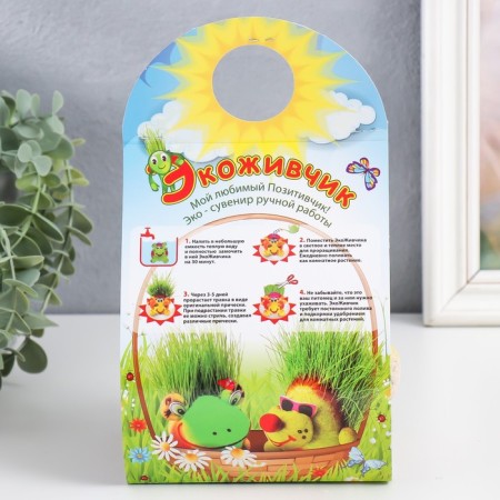 Growing gift Eco -Zhizhivchik "Kolobok" mix-7