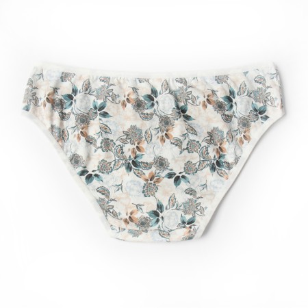 Panties women's slips Miss Beautiful, white/gray color, rr l (44-46)-2