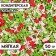 Assorting confectionery: green, white, red, with a soft center, 50 g