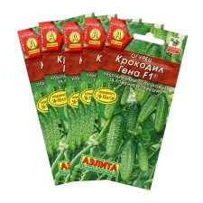 Cucumber seeds 