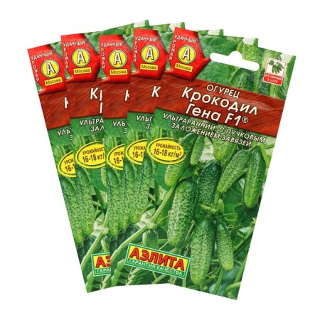 Cucumber seeds "Crocodile Gene" F1, ultraran, parthenocarpic, set of 5 pcs