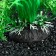 Artificial aquarium plant, 10 cm, green