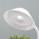 Sconces in the socket "Zion" LED 2W white 10x6x26.5 cm
