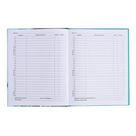 Diary for grades 5-11, hard cover, Future, glossy lamination, block 60g/m2-8
