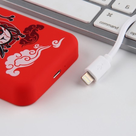 Зарядное устройство «Маска», 5000мА-10