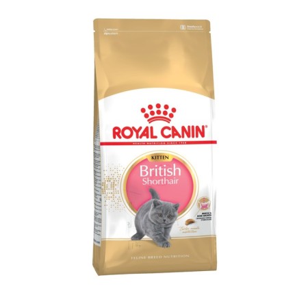 Dry food RC Kitten British Shorthair for British kittens, 2 kg