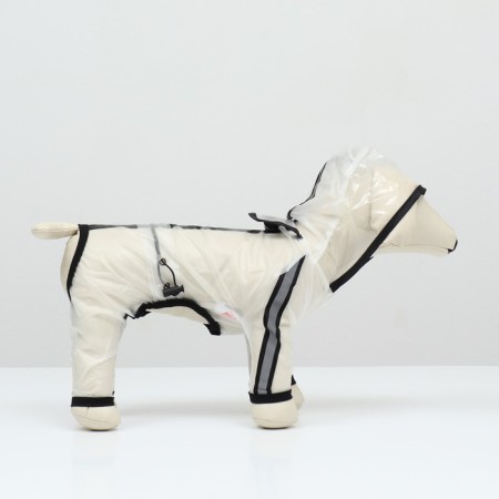 Complete raincoat for dogs, rr m (DS 30, OG 40, Osh 31.5 cm, weight 5-7 kg), transparent-2