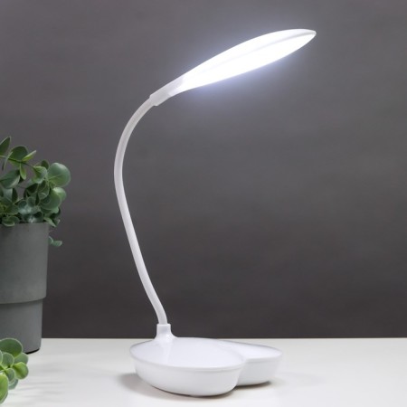 Board lamp 16812/1 LED 5W USB white 10.5x12.5x41 cm Risalux-1