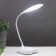 Board lamp 16812/1 LED 5W USB white 10.5x12.5x41 cm Risalux