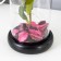Spinker Sales "Pink Rose" LED 3AAA 8x8x17 cm Risalux