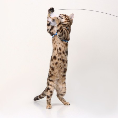 Domesticular “Soft fun” with a steel cable, 90 cm-1