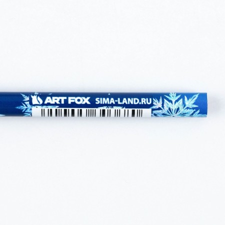 Gift New Year's set: notebook, pencils of b/g 2 pcs and wax crayons "Miracles nearby"-13
