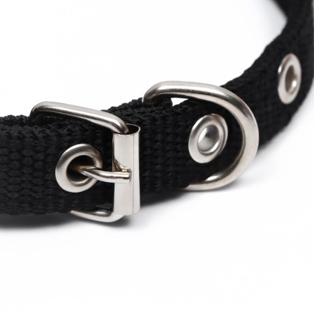 Collar "Comfort" Combined, 39 x 1.5 cm, Osh 26-33 cm, black-2