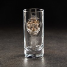 Glass 