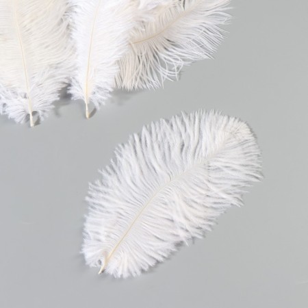 A set of ostrich feathers 10-15 cm, 10 pcs, white-2